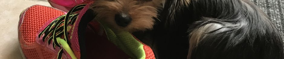 Träningskläder till hela OS-landslaget